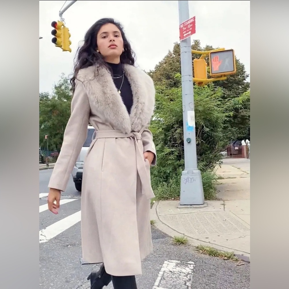 Aritzia Waldorf Coat with Beautiful Faux Fur - Like new!